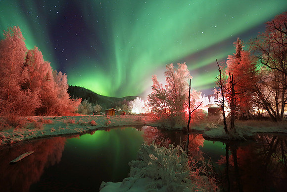 Auroras over a pond.