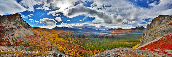 Denali National Park.