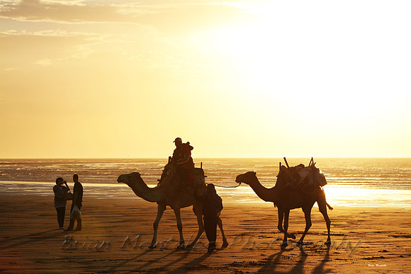 Morocco  Desert