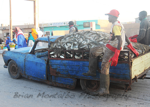 Fish Market, Mauratania