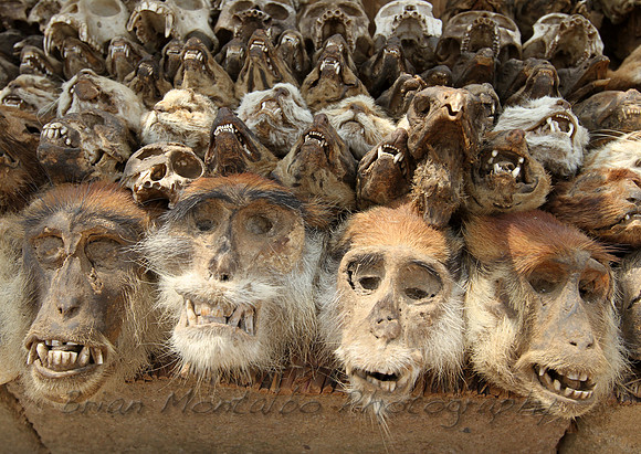 Fetish Market, Togo