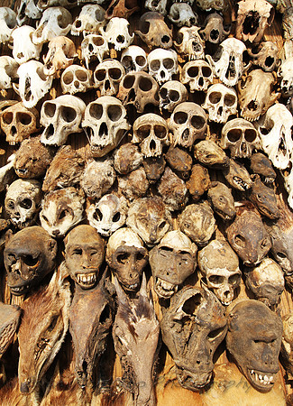 Togo Market