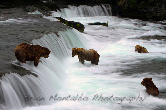 Time lapse, with bears.  Alaska