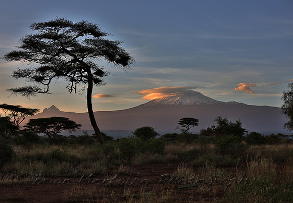 Mt.Kilimanjaro