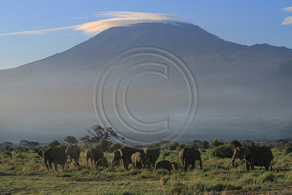Mt.Kilimanjaro