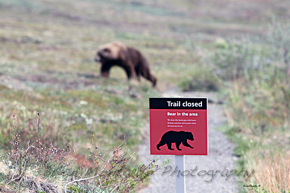 Sign says everything