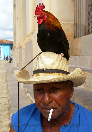 Cuban Cockfighter