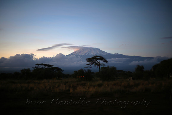 Mt.Kilimanjaro during sunrise.