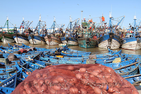 Boats in Essaouira
