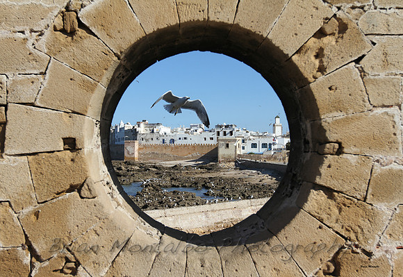 Timed this photo to capture a seagull flying by.  Wanted to add some subject to this photo.
