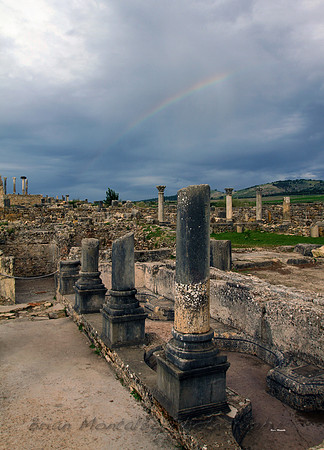 Volubilis,Roman Ruins.  Morocco