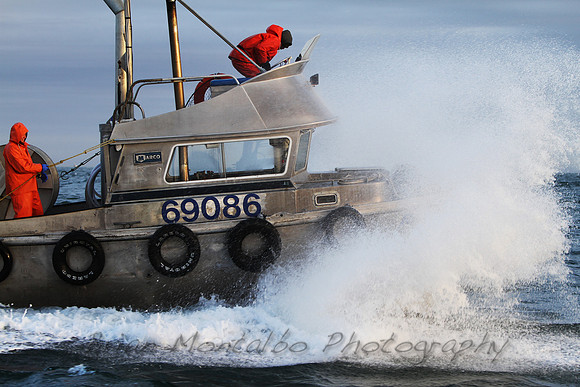 Commercial fishing Bristol Bay