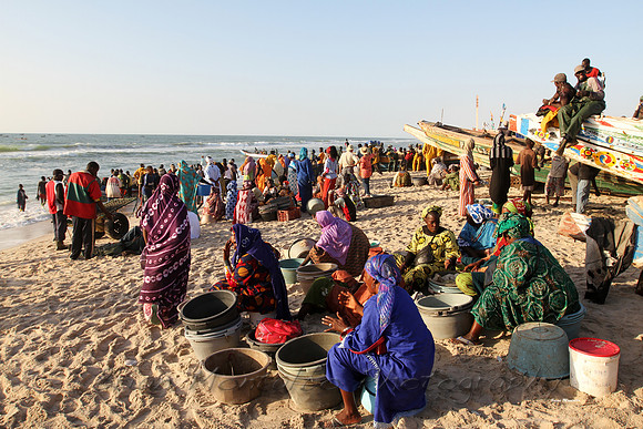 The FIsh market in Nouakchott, Mauritania, is amazing.