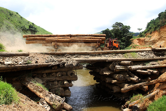 Congo. This amazing bridge is made out of huge  logs.