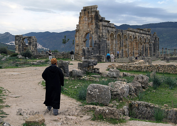 volubilis