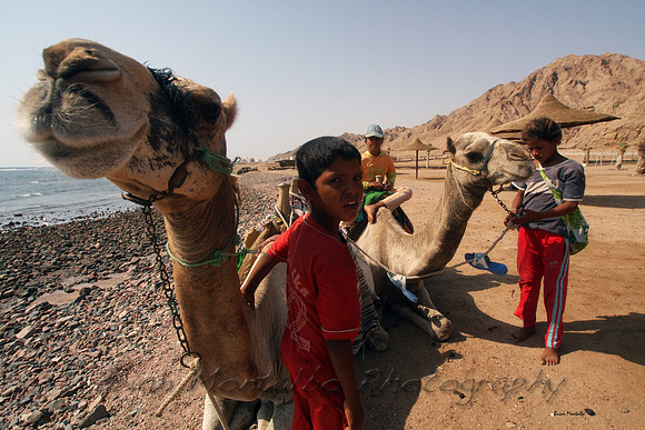 Near Dahab, Egypt