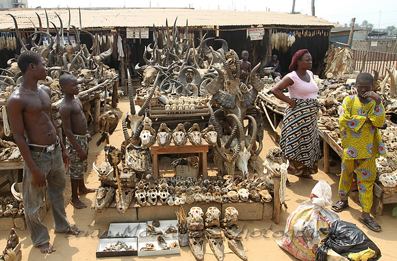 Voodoo, Togo. The crazy and fascinating fetish market.