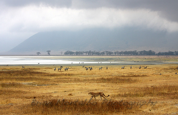 One of my favorite photos. Ngorongoro Crater.