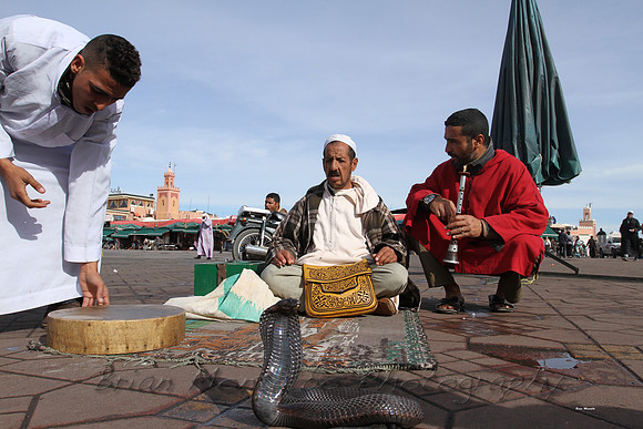 Snake charmers,  Marrakech,