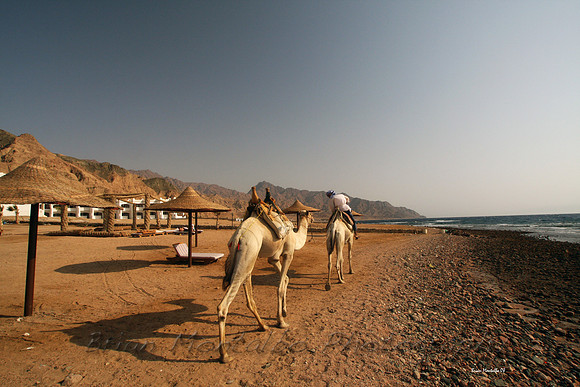 Dahab,  Egypt